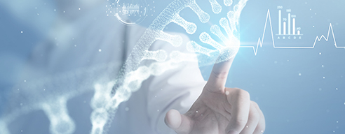 Birth Medical Certificate Verification Solution
